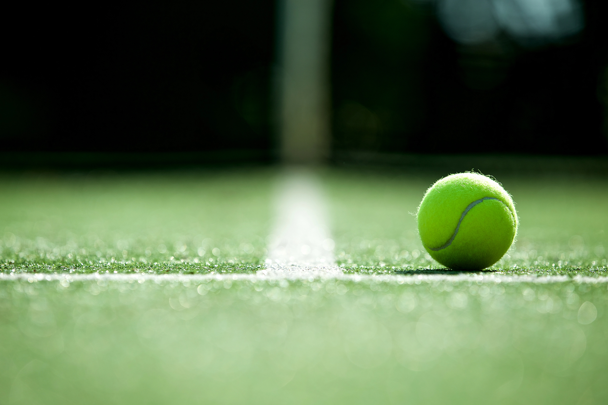 Courts at Alliston park temporarily closed