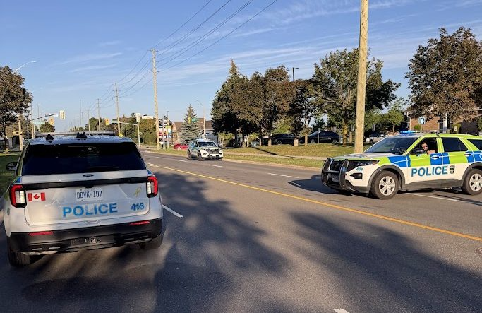 Barrie woman arrested following death of neglected dog