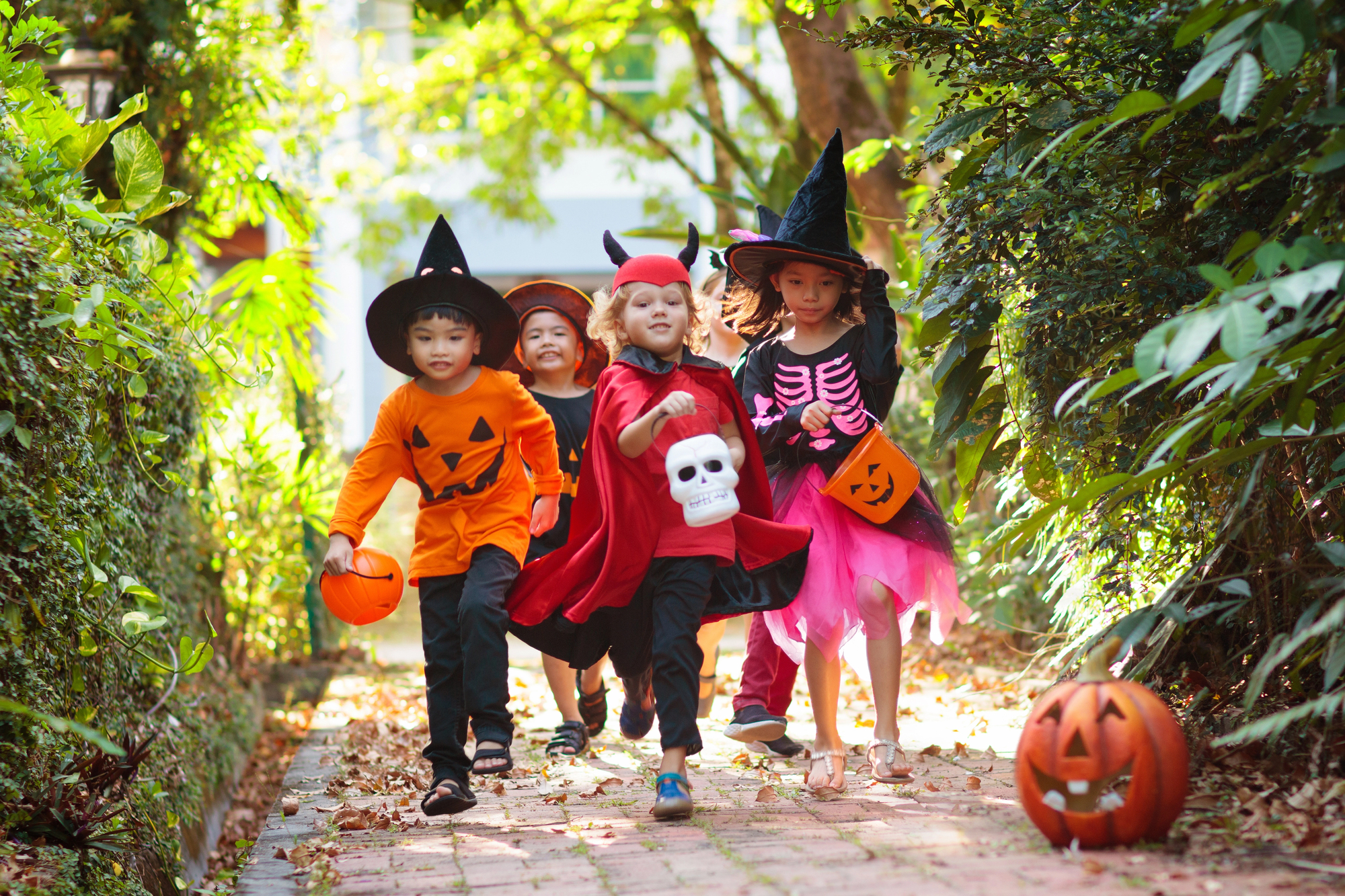 Monster Mash will cause road closures in Alliston this weekend