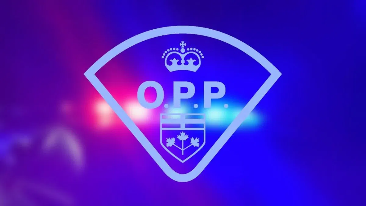 UPDATED Road reopens after single vehicle rollover in Sharbot Lake