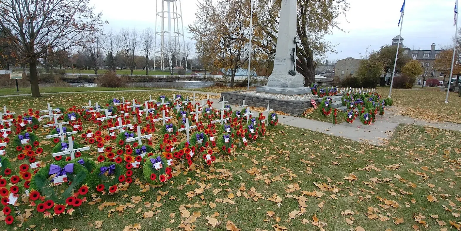 Remembrance day observance 2024 canada