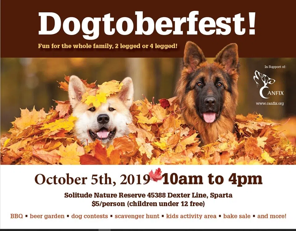 Dogtoberfest This Saturday | 94.1 St.ThomasToday.ca