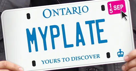Community Spotlight: Don't forget to renew your licence plate for 2024