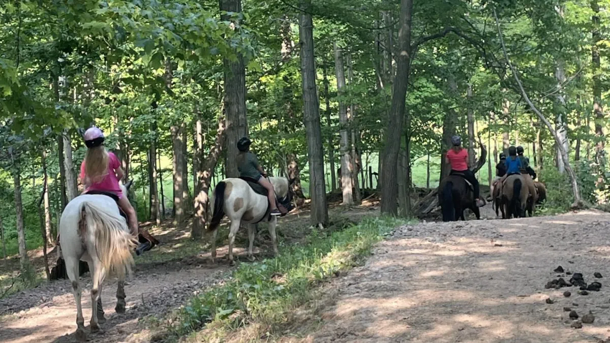 Seeds of Success Horseshoe J Dude Ranch 94.1 St.ThomasToday.ca