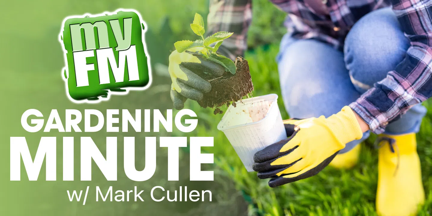 Gardening Minute