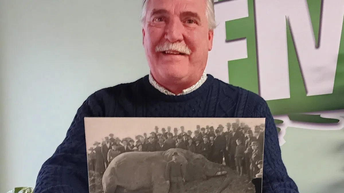 What good in St . Thomas and Elgin ? Spend an afternoon with Jumbo and Steve Peters