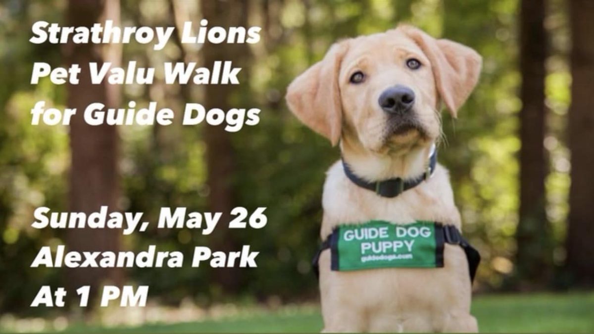 COMMUNITY SPOTLIGHT – Pet Valu Lions Club Walk for Guide Dogs this weekend - Vimarsana News