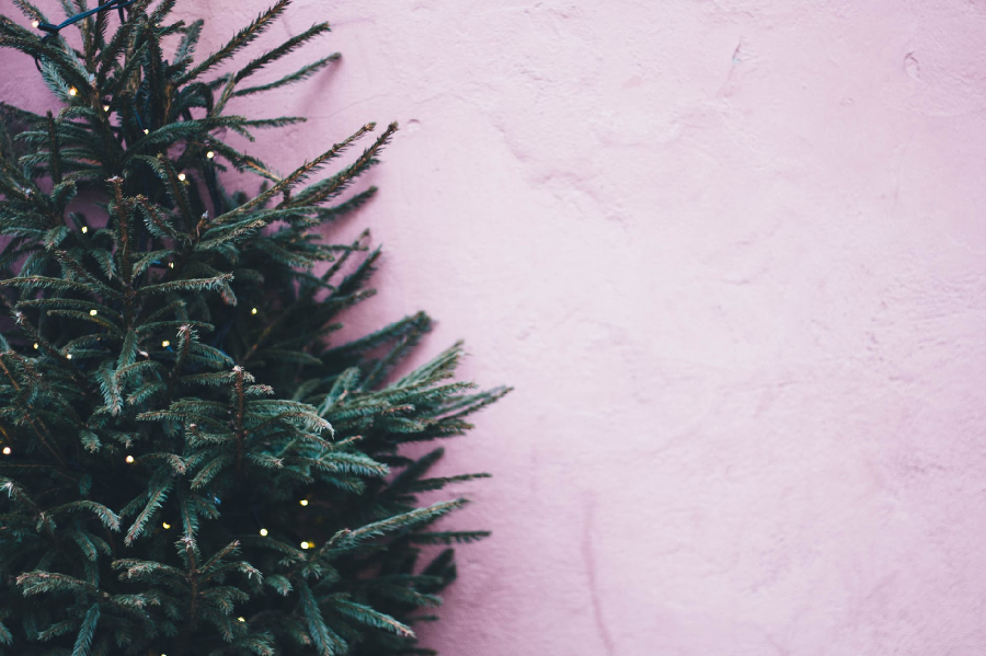 Christmas Tree collection next week in Orangeville