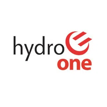 Hydro One customers being given options