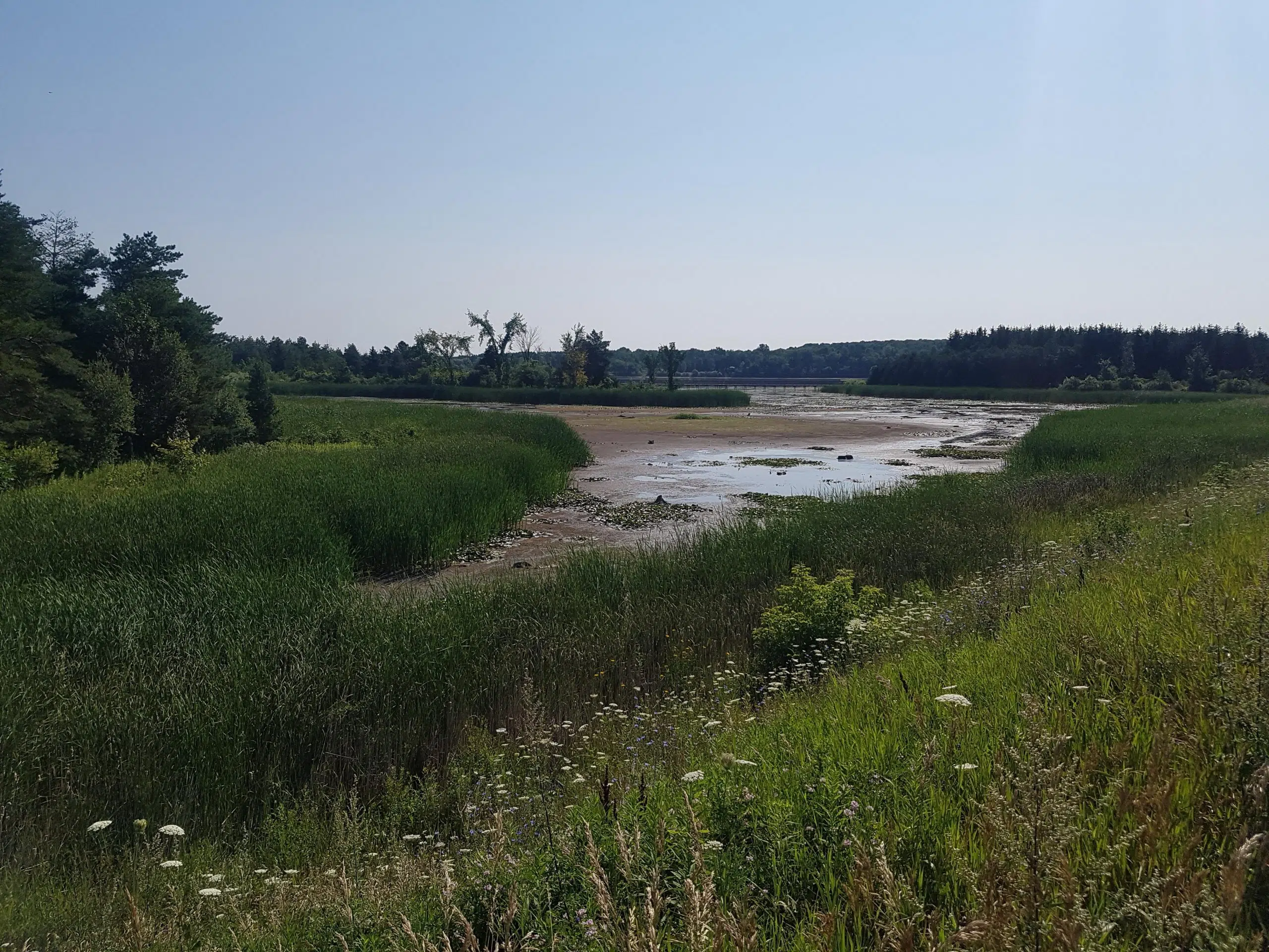 Credit Valley Conservation to monitor low water levels at Island Lake
