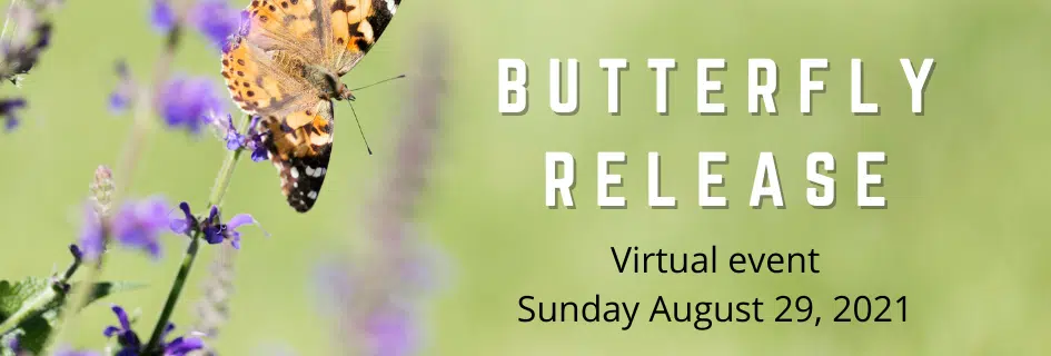 COMMUNITY SPOTLIGHT : Butterfly Release for Hospice Dufferin coming in August
