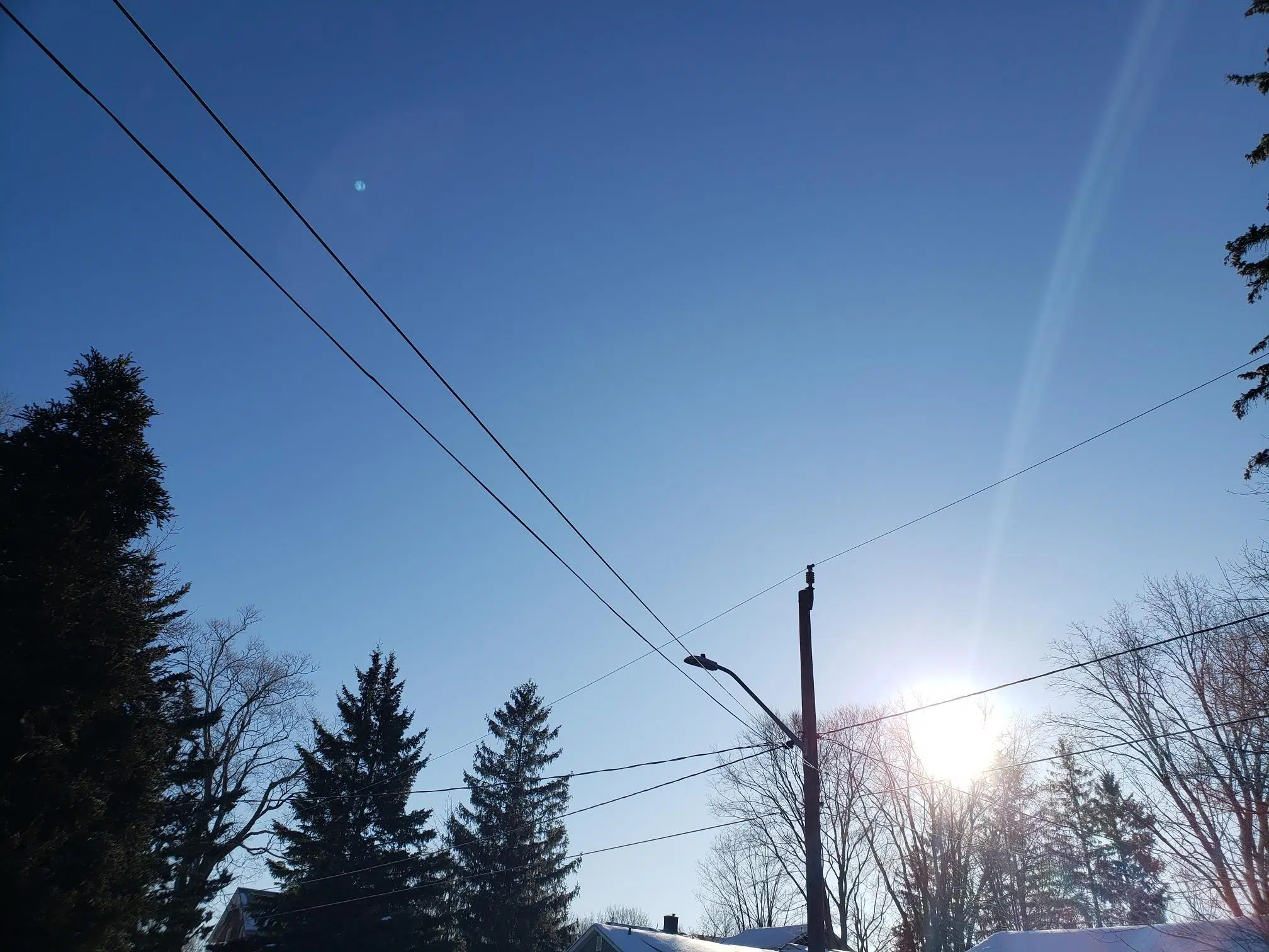 Orangeville Weather Forecast for Valentines Day