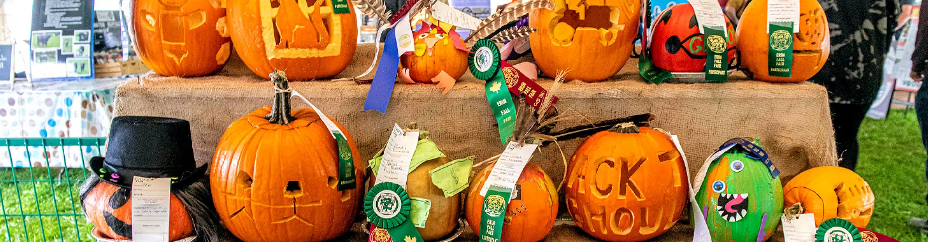 172nd Erin Fall Fair Kicks Off Tonight!