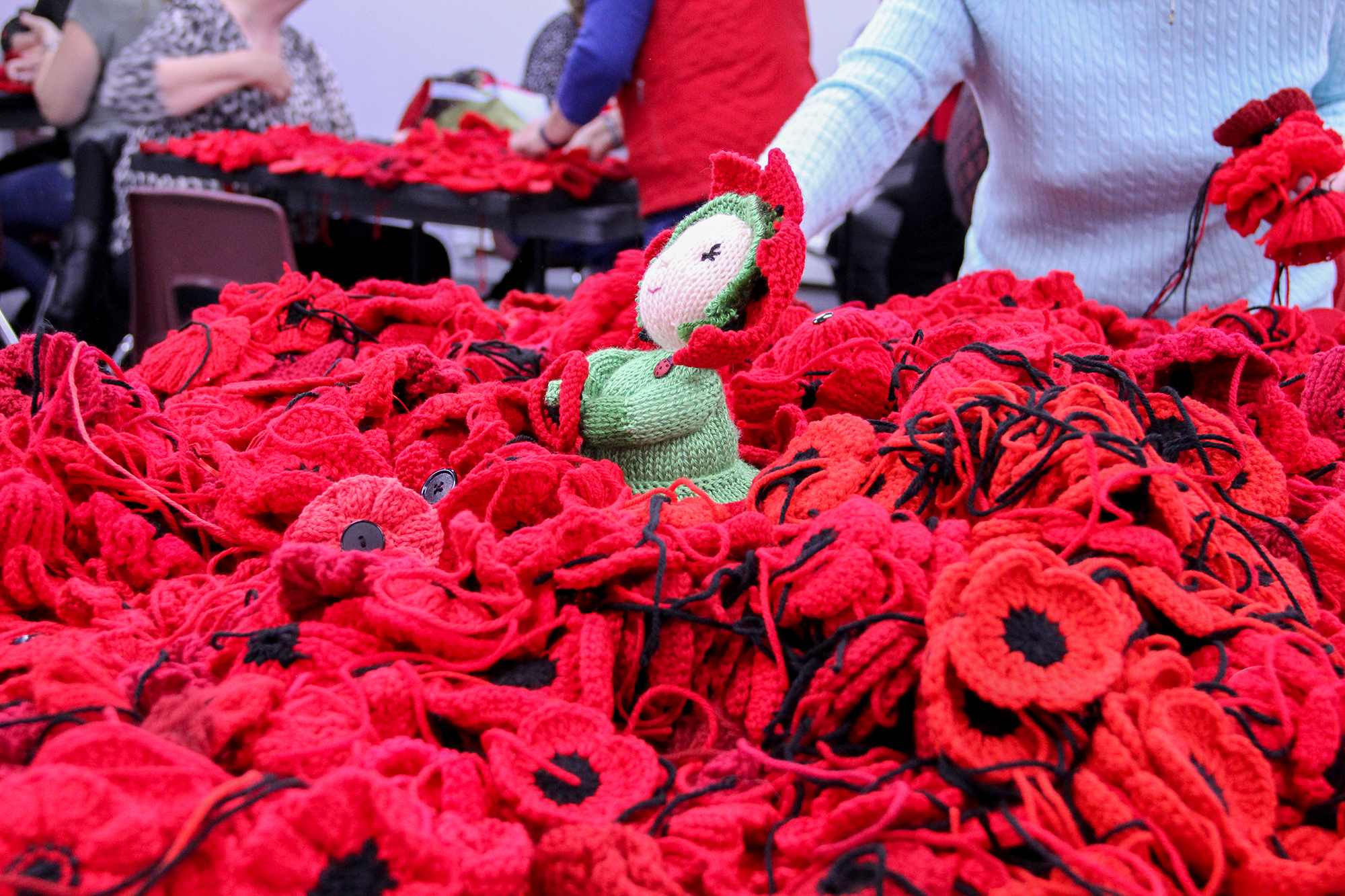 There's Still a Few Spots Left in Poppy Project !