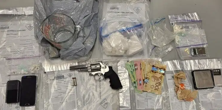 Brampton Resident Facing Multiple Charges After Drug Bust