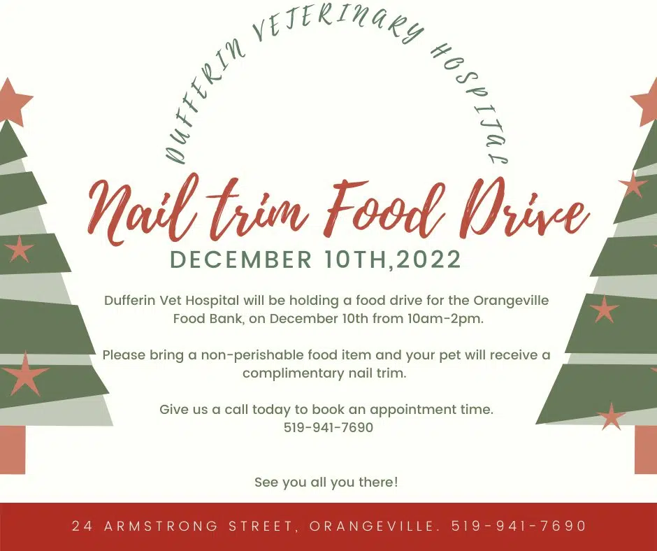 Get a Free Nail Trim (For Your Pet) With Food Donation!