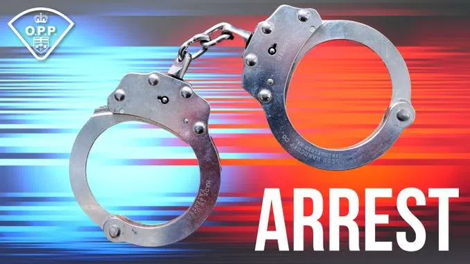 Horse & Buggy Involved In Fatal Accident In Melancthon