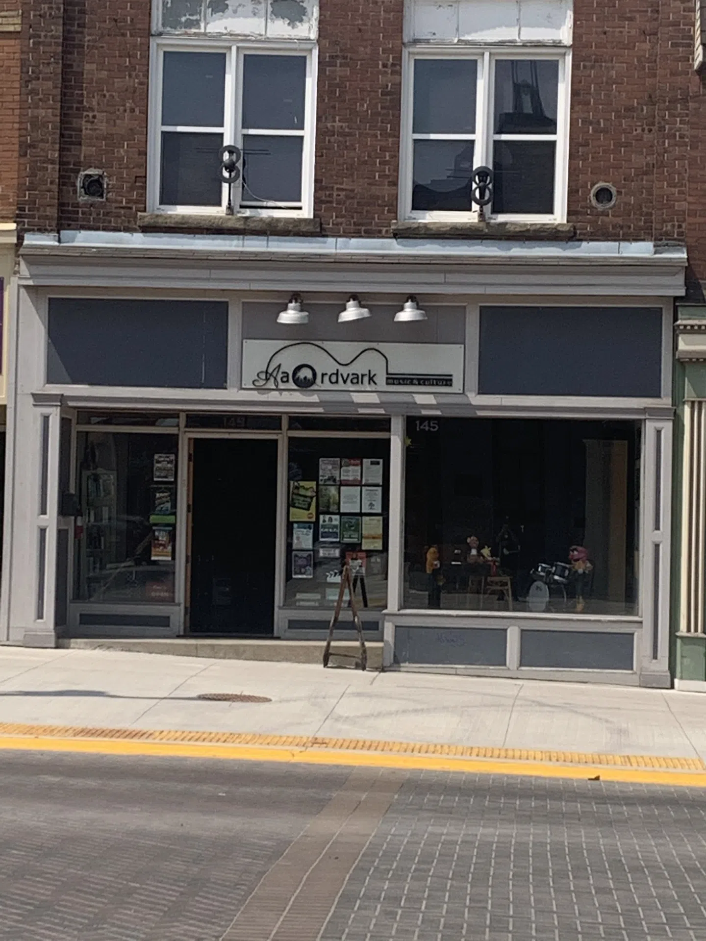 Rock On to Aardvark Music and Culture