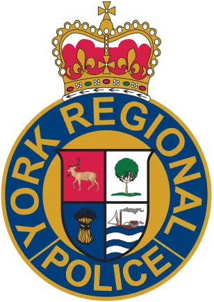 Attempted Murder Charges in Schomburg Shooting