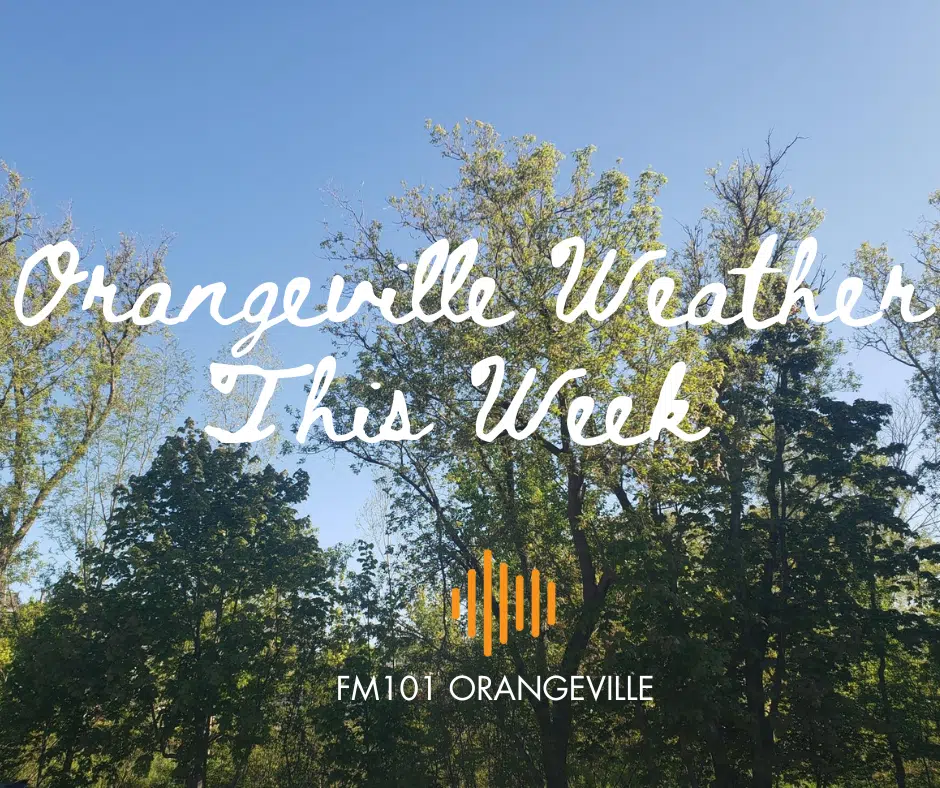 Orangeville Weather This Week - August 22nd