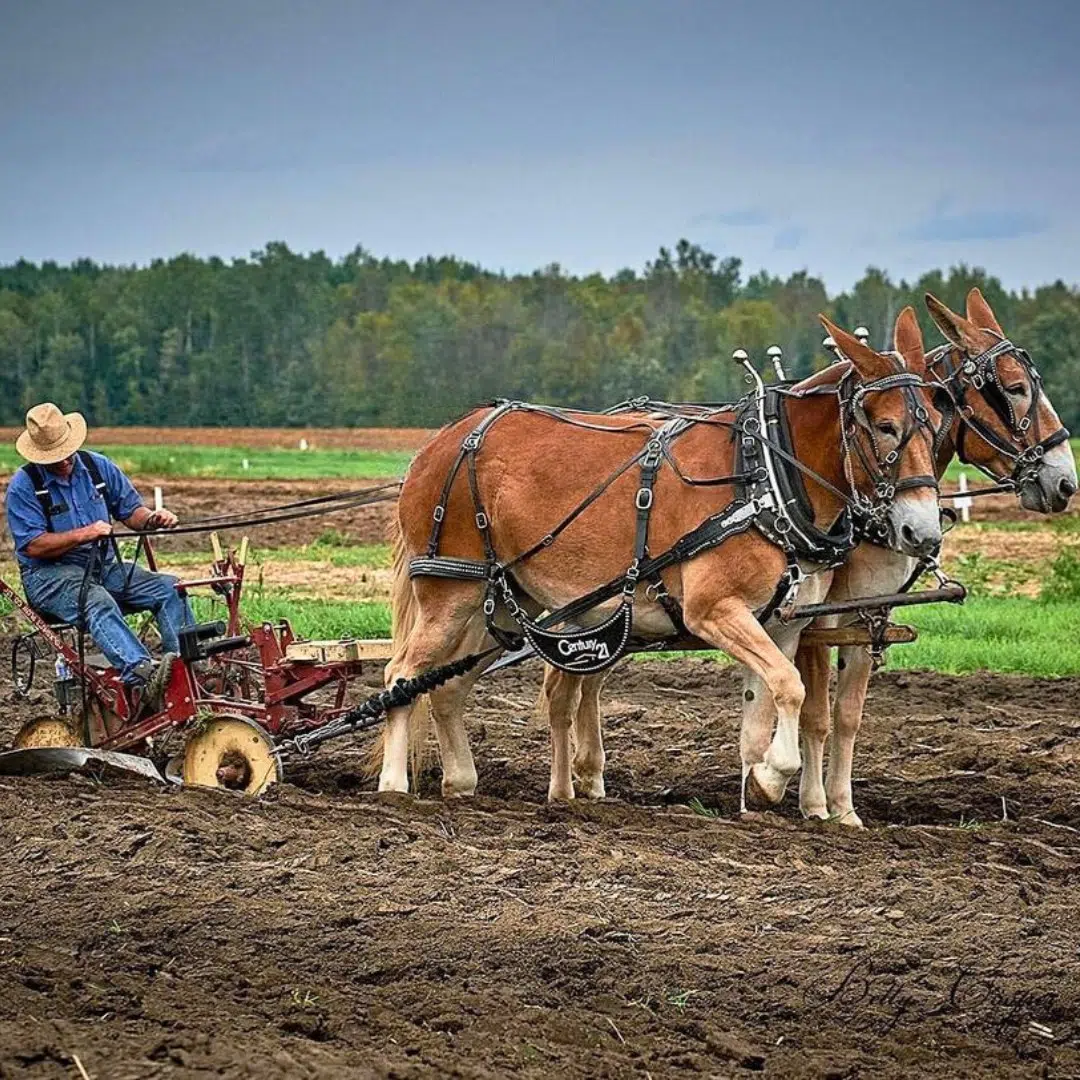 2023 International Plowing Match What You Need To Know FM101