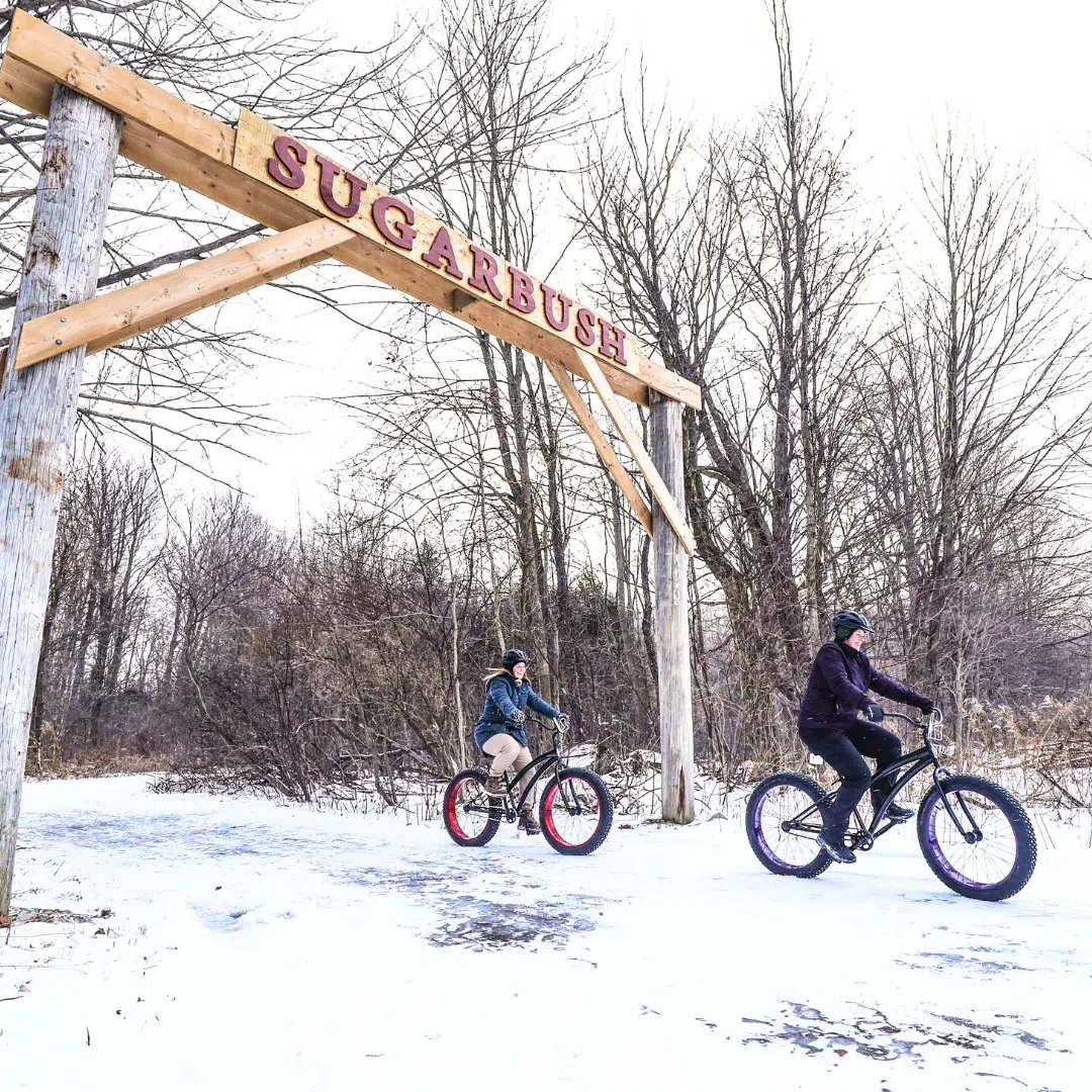 Connect With Nature & Hit The Trails In Orangeville!