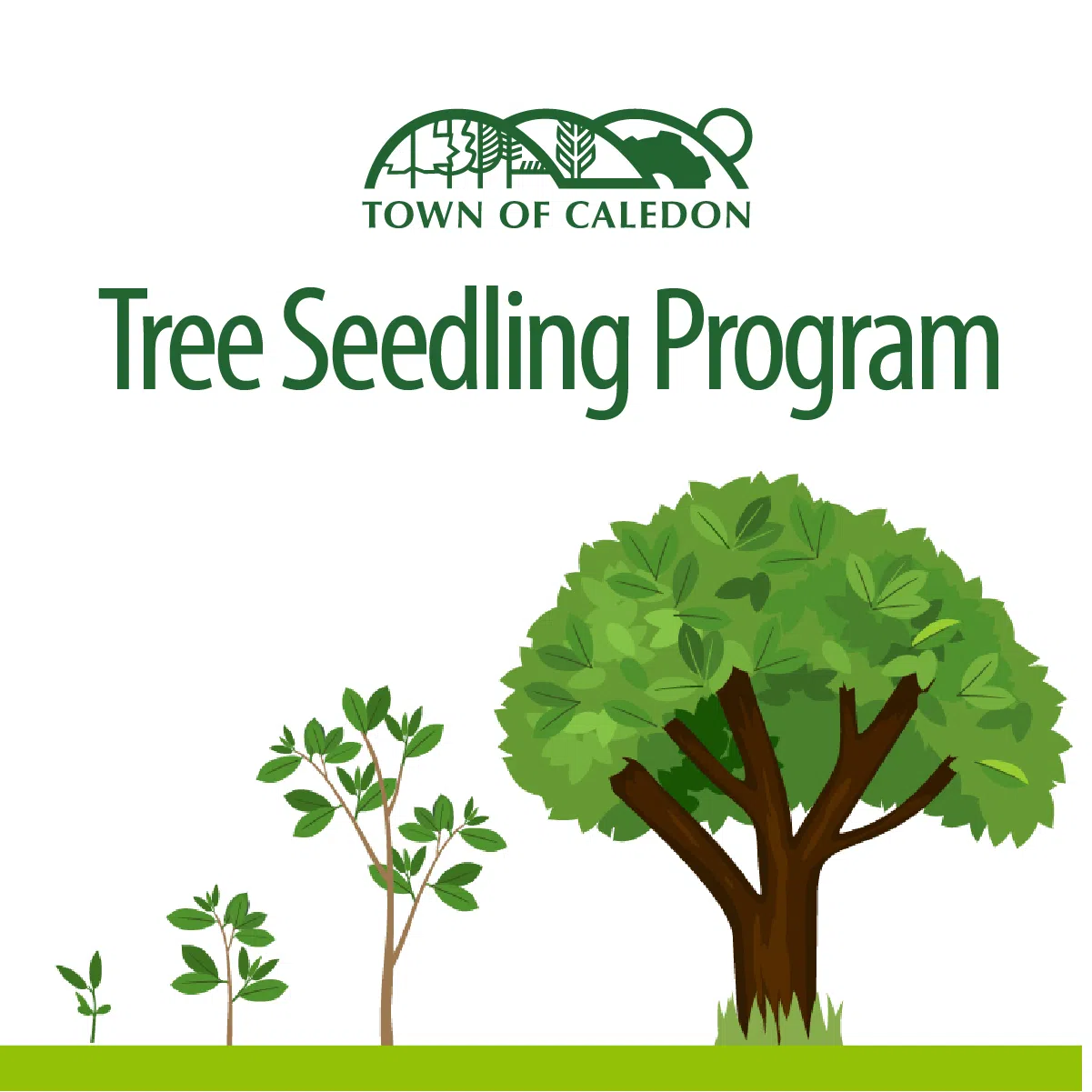 Colour Caledon With The Tree Seedling Program
