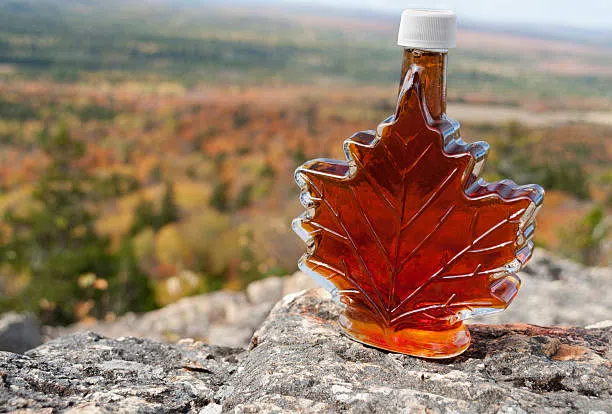 It's Maple Syrup Season!