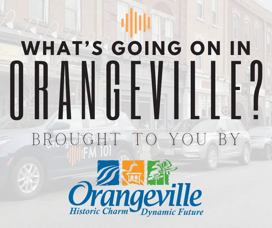 What's Going On In Orangeville?