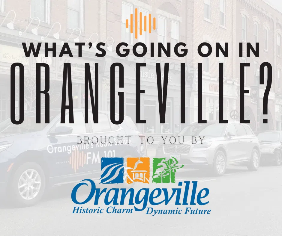 What's Going On In Orangeville?