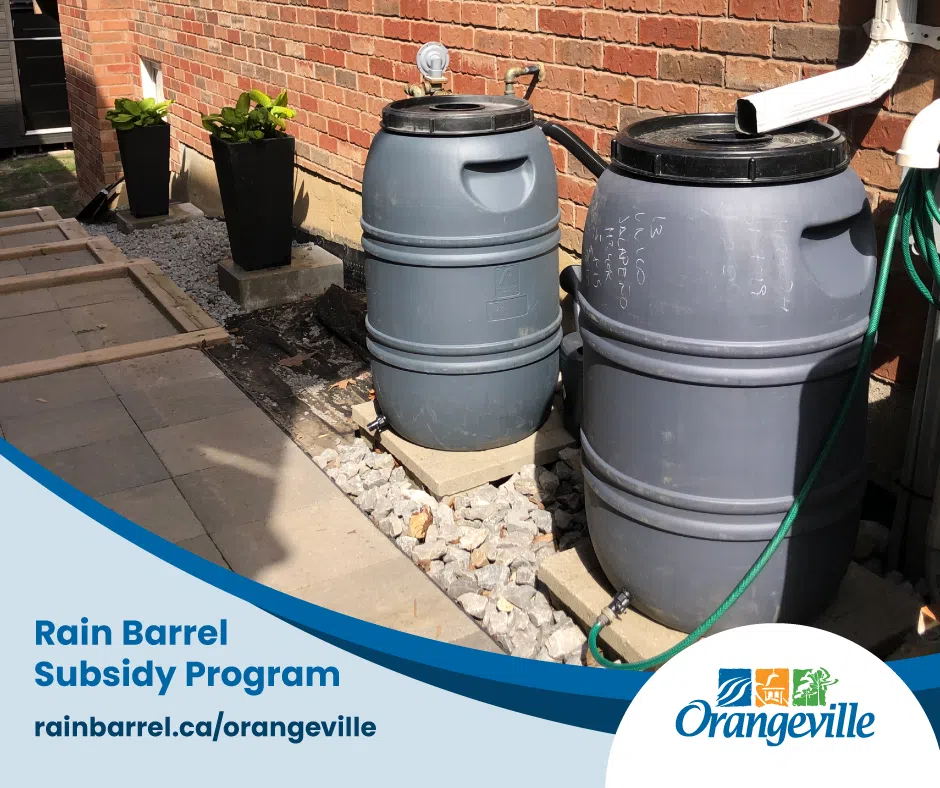 Making Rain Barrels More Affordable and Accessible In Orangeville
