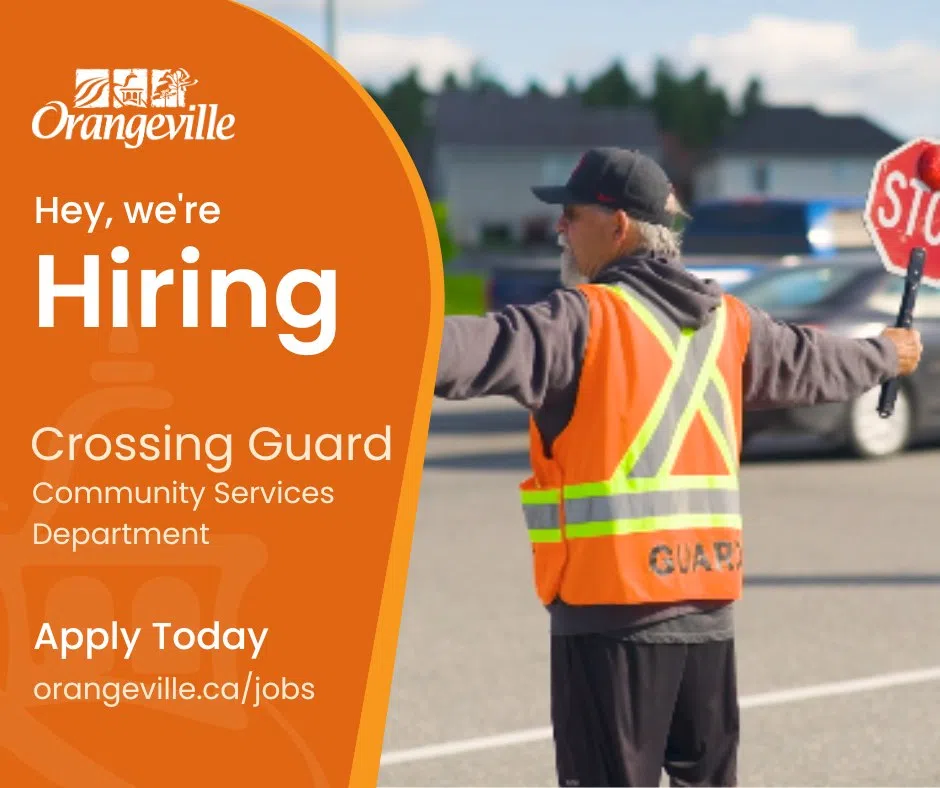 Town Of Orangeville Hiring Crossing Guards