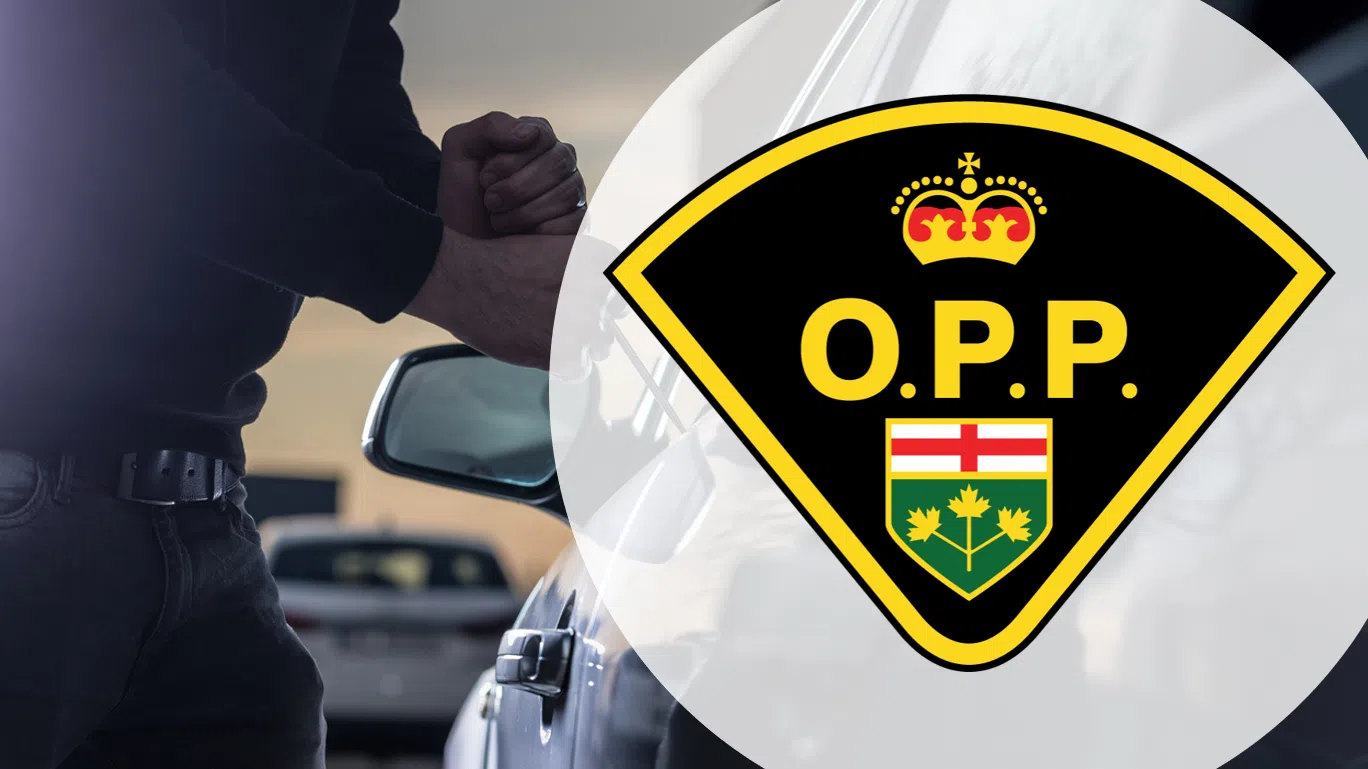 Truck Stolen In Broad Daylight, OPP Investigating