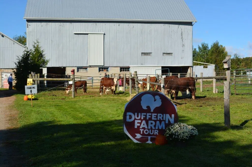 The Dufferin Farm Tour Celebrates 25 Years