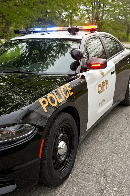 Brampton driver facing several charges after using legal size paper as licence plates on their vehicle