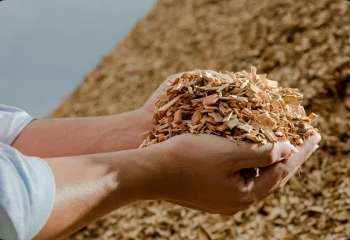 Free Wood Chips at Town of Erin