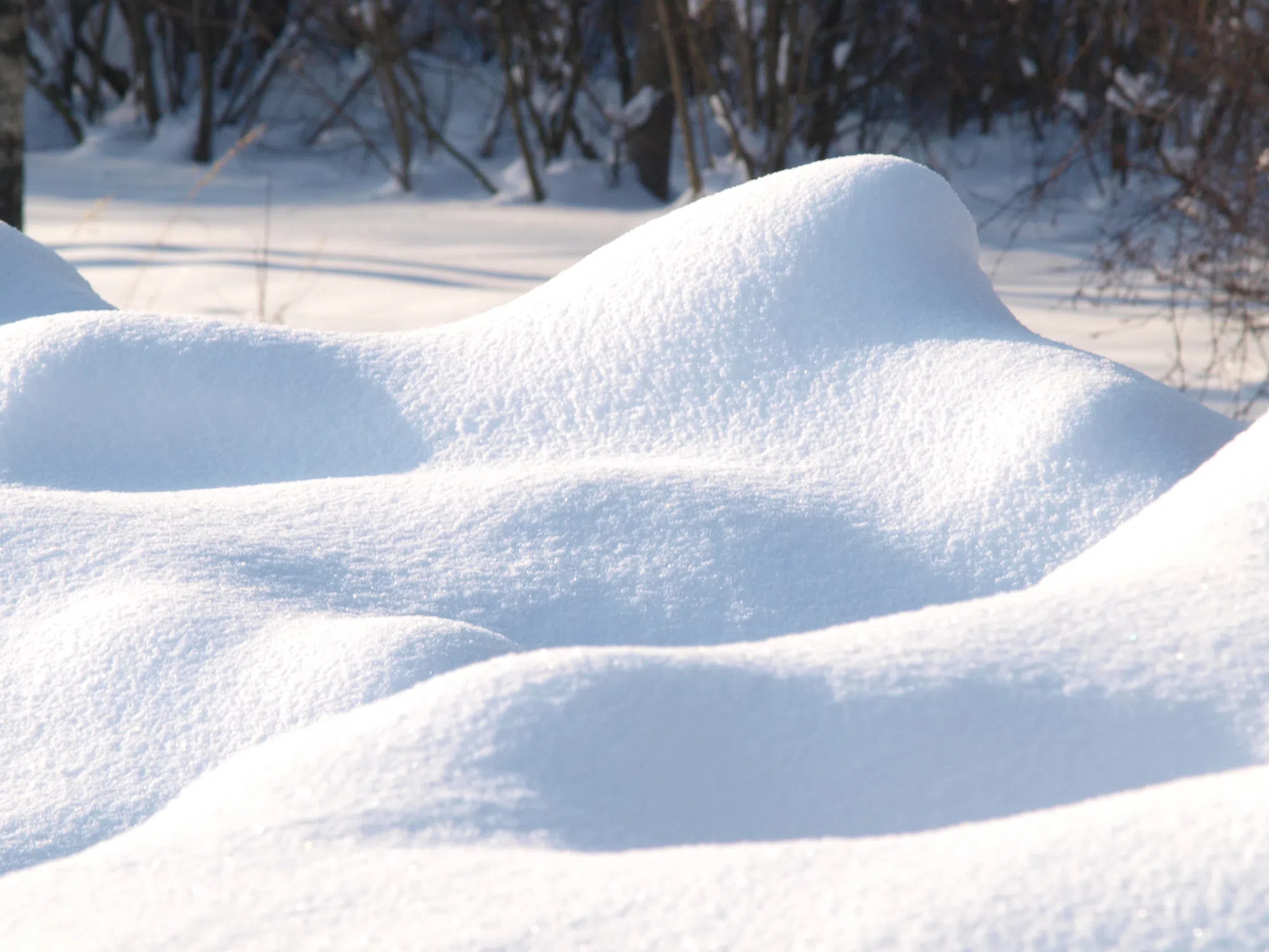 Time running out to apply for windrow assistance pilot program in Caledon