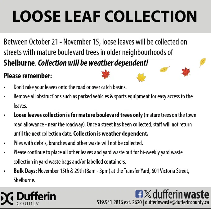 Town of Shelburne loose leaf collection