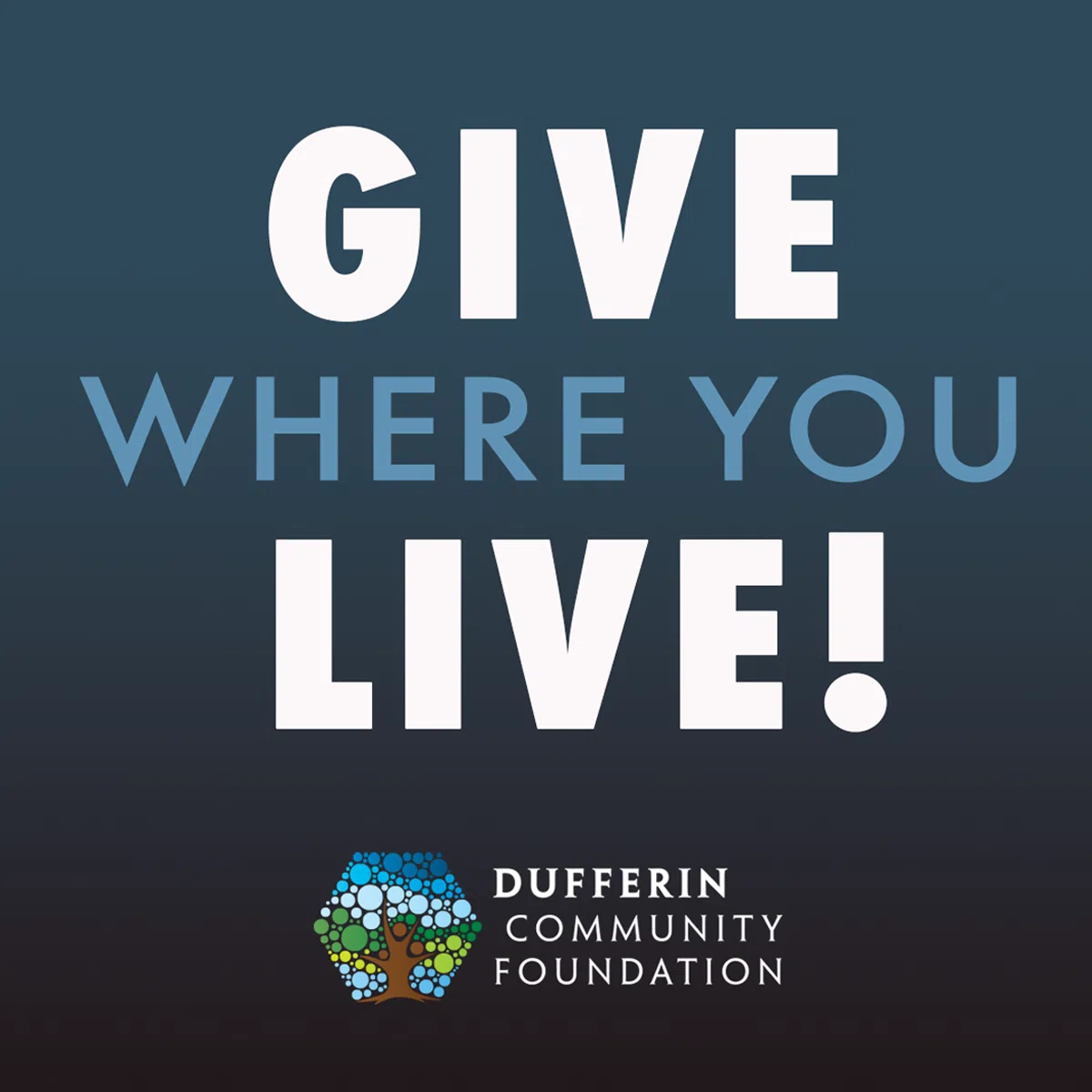 Give Where You Live this GivingTuesday (Dec 3rd)