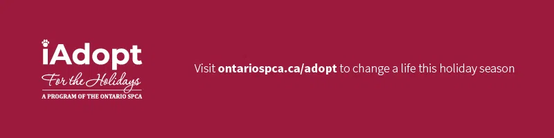 Help the Ontario SPCA Orangeville & District Animal Centre reach its adoption goal this holiday season