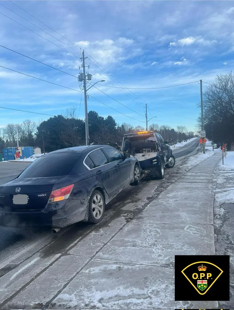 Driving school student caught doing 94km/hr in 50 km/hr community zone in Caledon