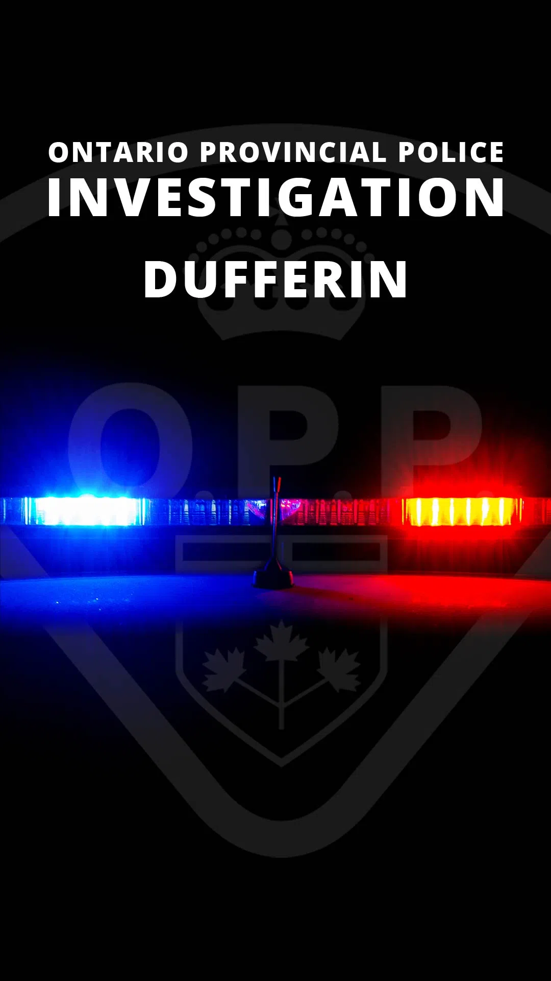Traffic stop by keen-eyed Dufferin OPP officer leads to multiple charges.