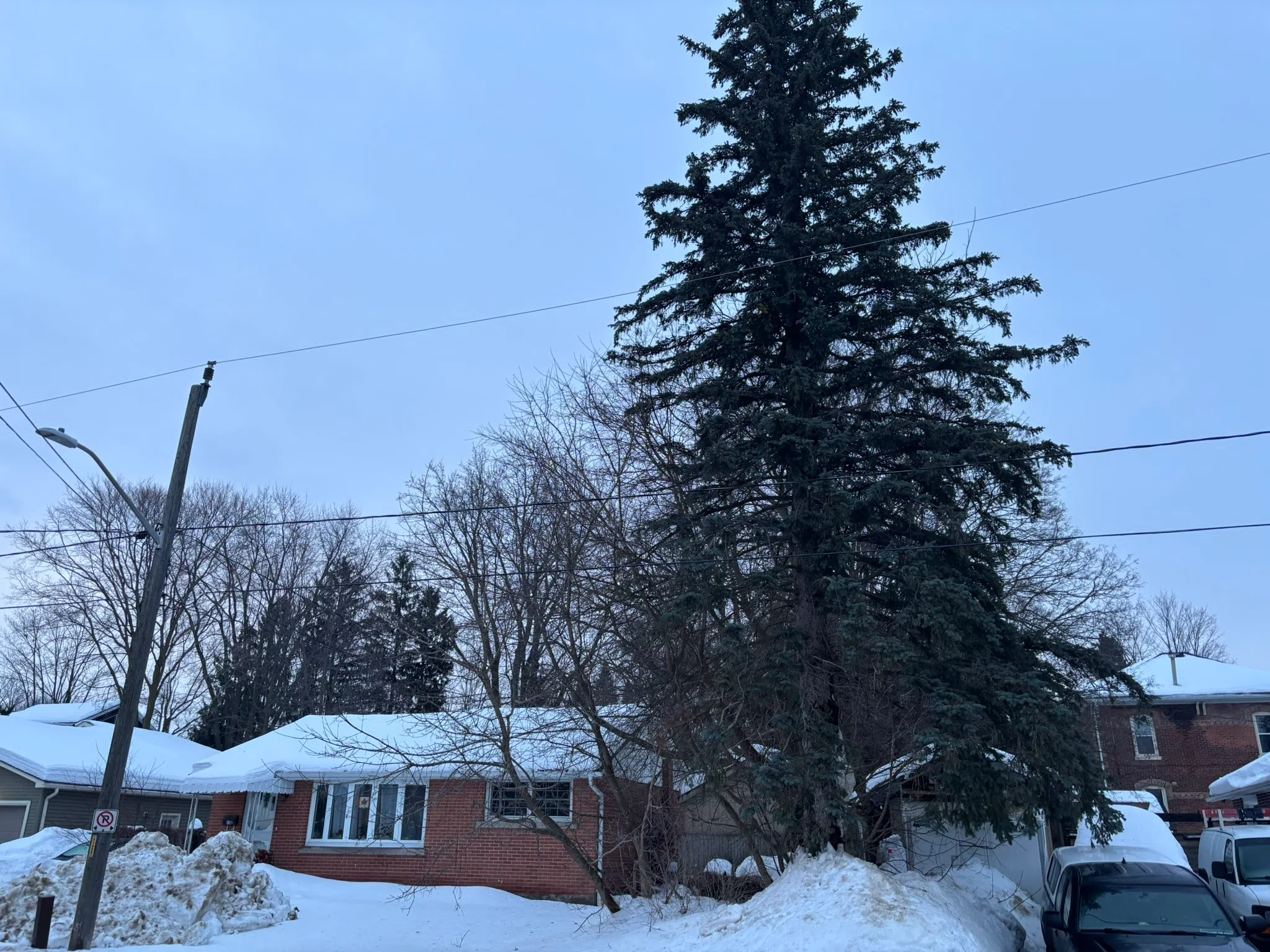 Orangeville forecast for Tuesday, February 25th