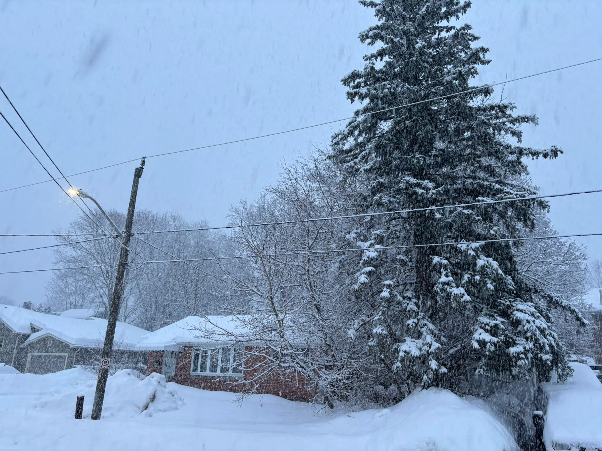 Orangeville forecast for Thursday, February 27th