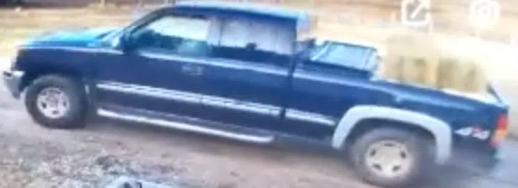Dufferin OPP looking for the public's help