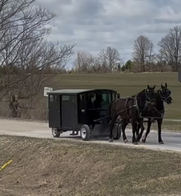 Sharing our roads with horse drawn vehicles in Dufferin County