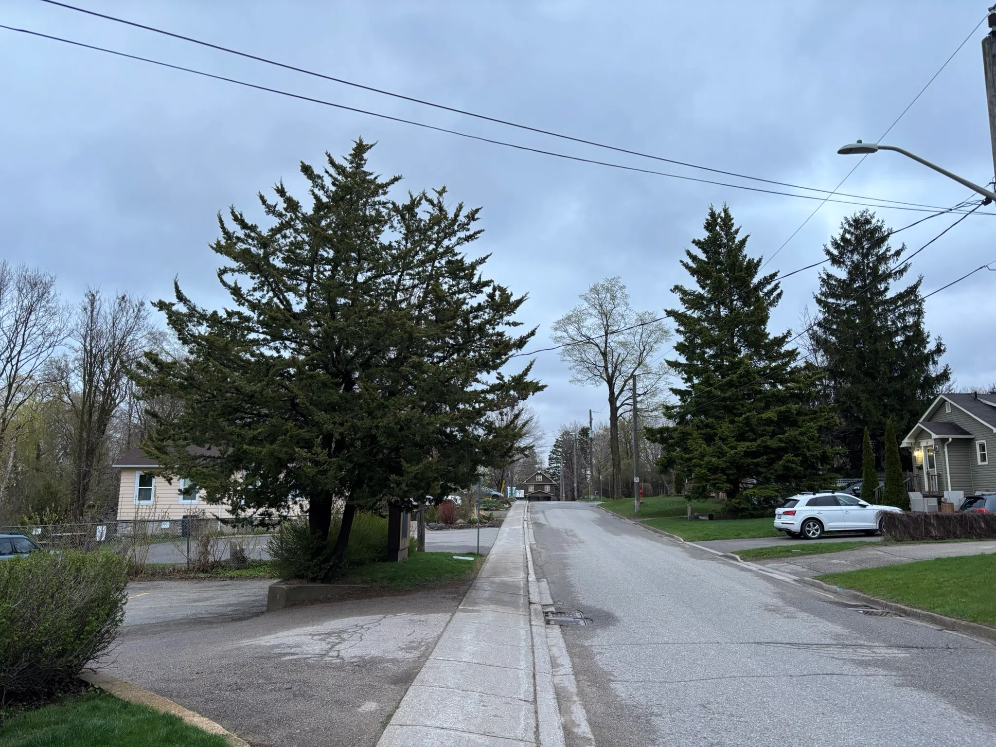 Orangeville forecast for Friday, May 2nd