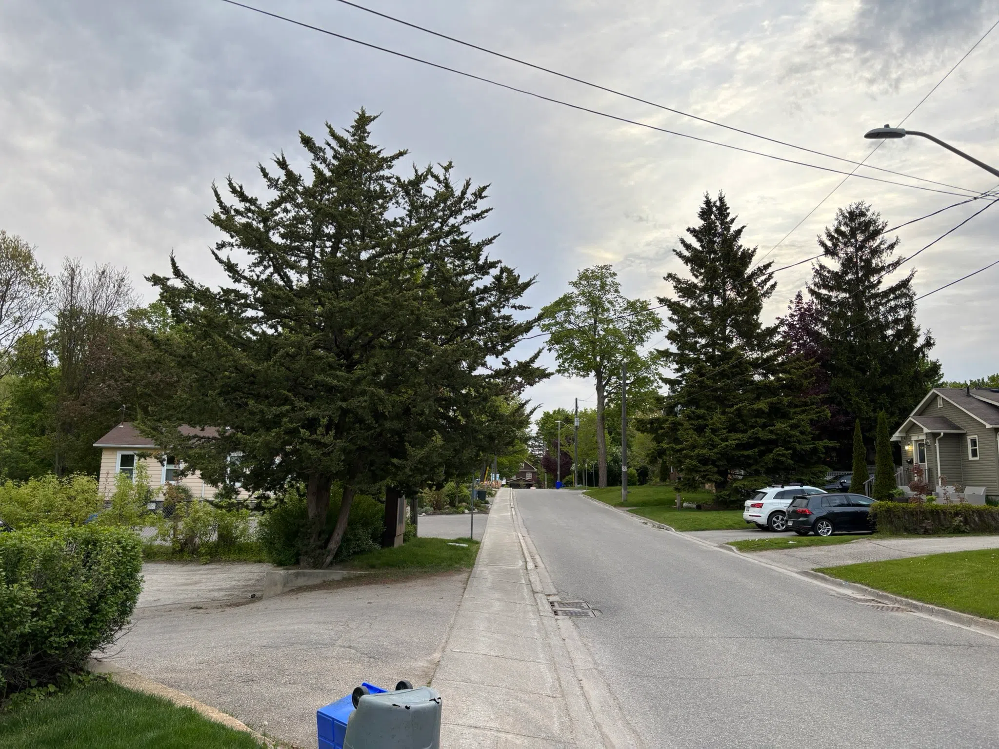 Orangeville forecast for Wednesday, May 21st