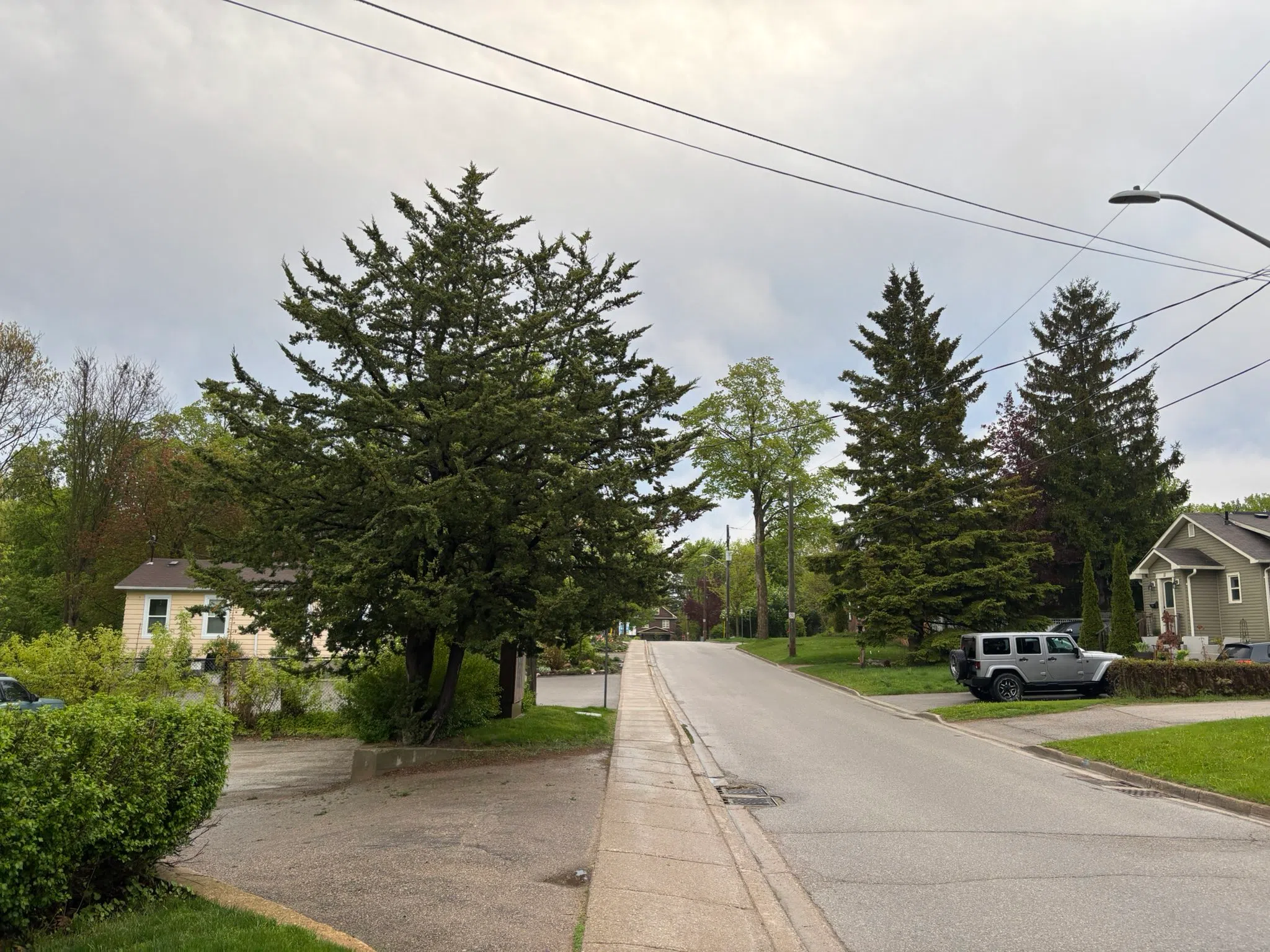 Orangeville forecast for Friday, May 16th