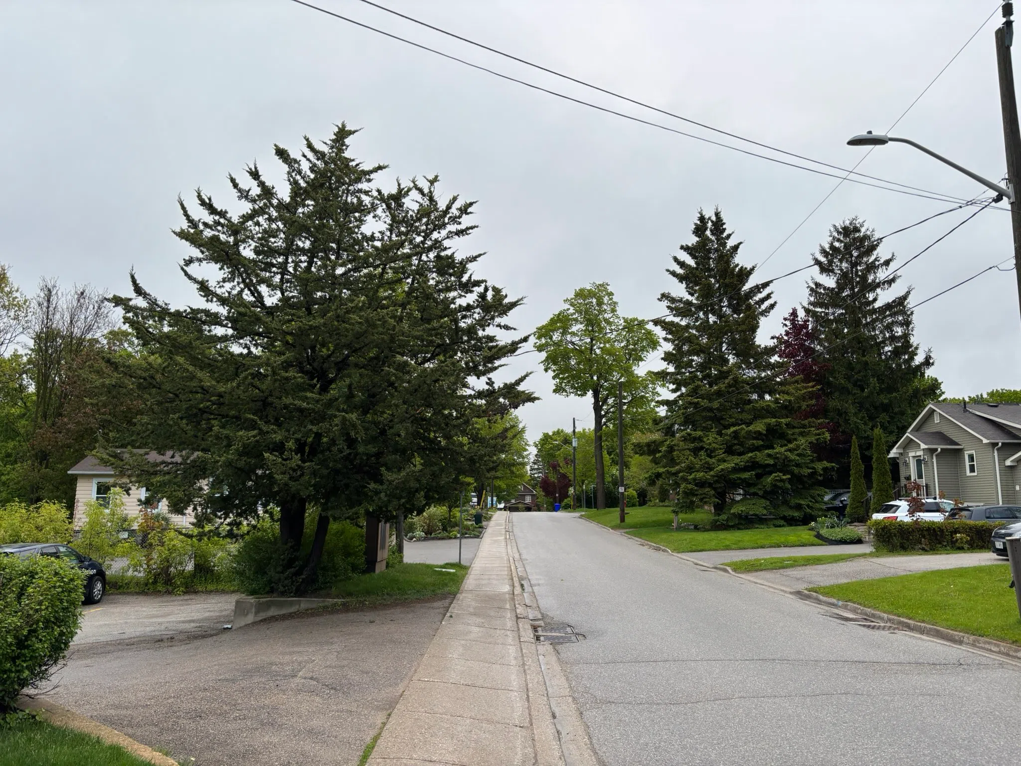 Orangeville forecast for Friday, May 23rd